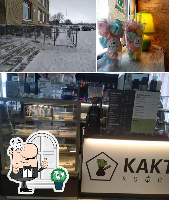 Кактус