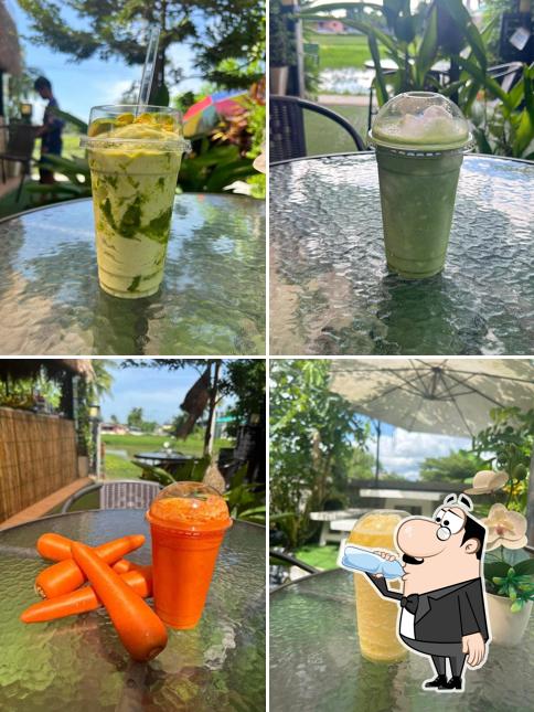 ลักกี้ทรี คาเฟ่ (LuckyTree Café)