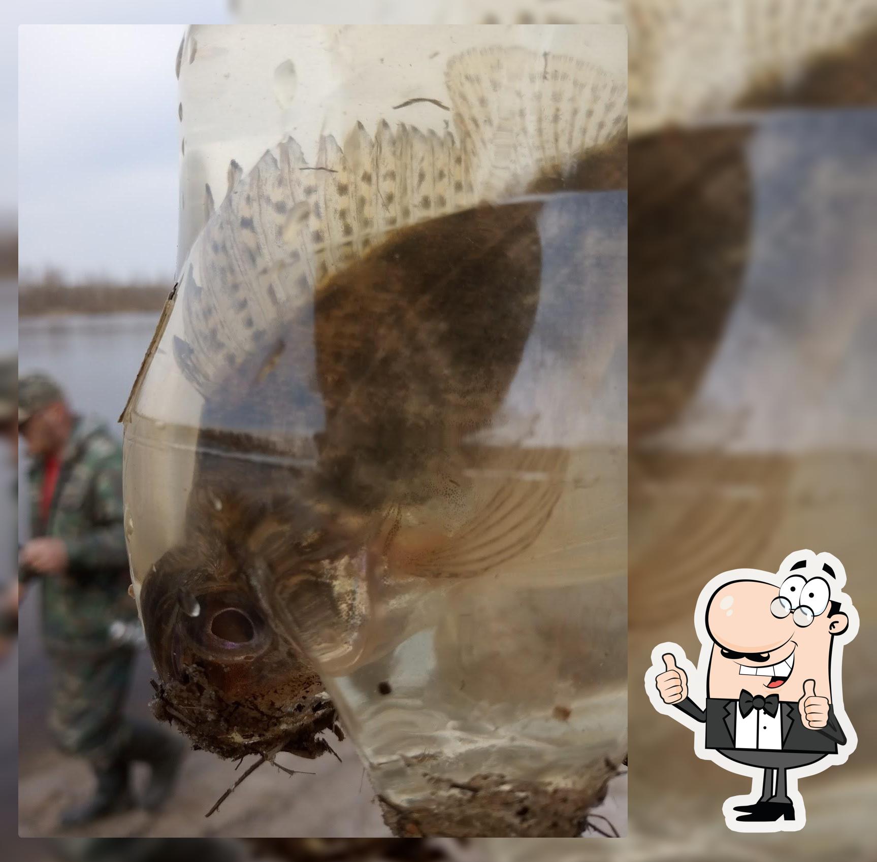 Студенческое Питание Ктпуп