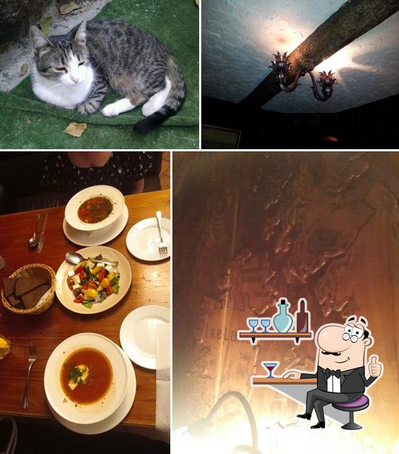 Интерьер "Силы Кельта"