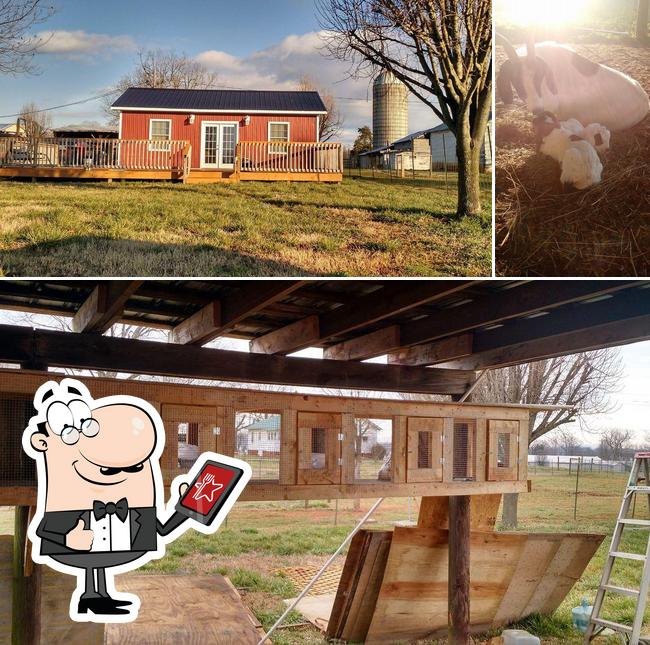 The Shack