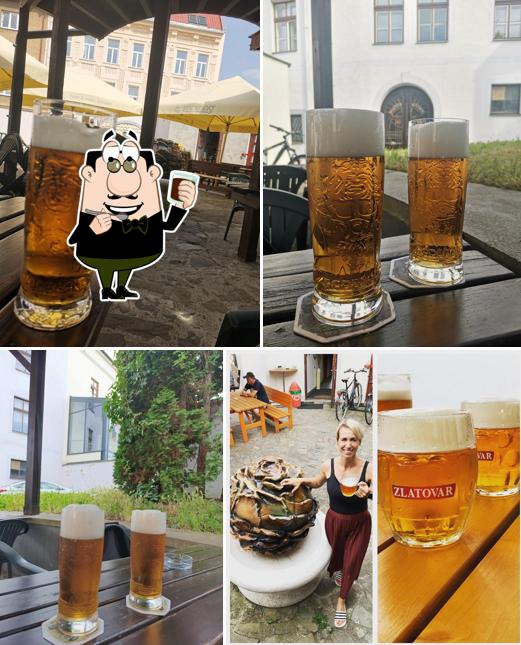 Zlatá Růže