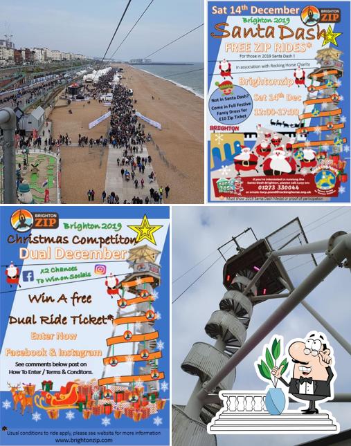 Brighton Zip