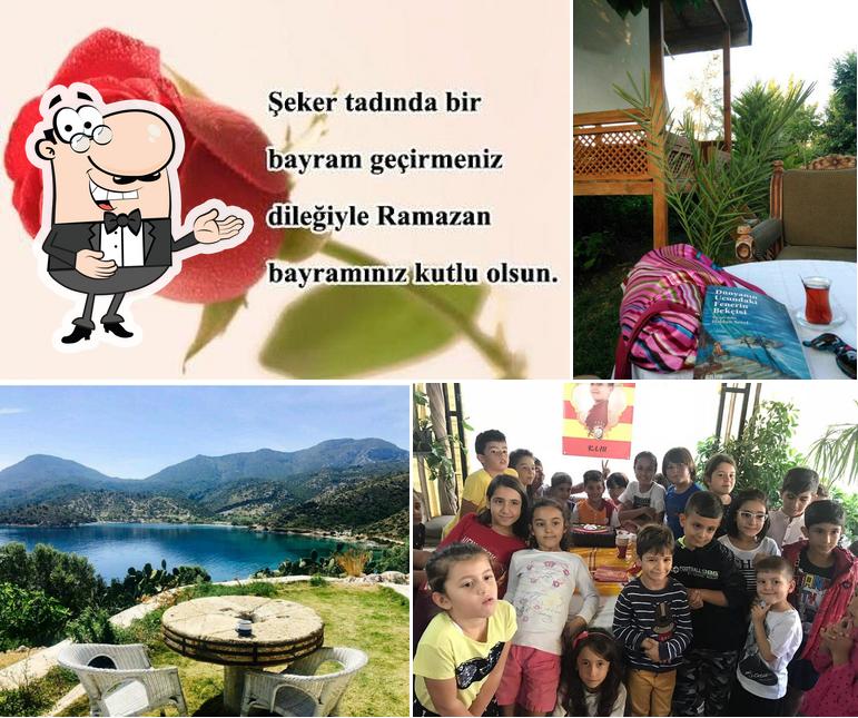 Çınar Kafe