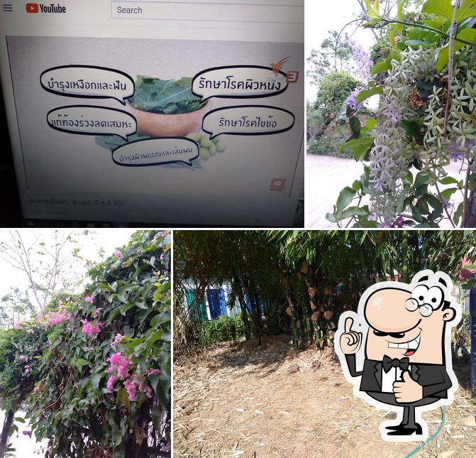 แก้วใสใจสว่าง รีสอร์ท & โฮมสเตย์