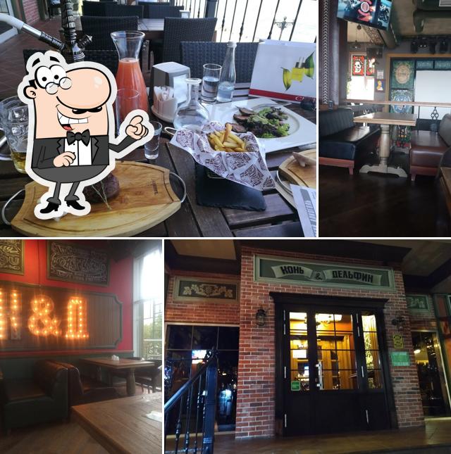 Конь и Дельфин