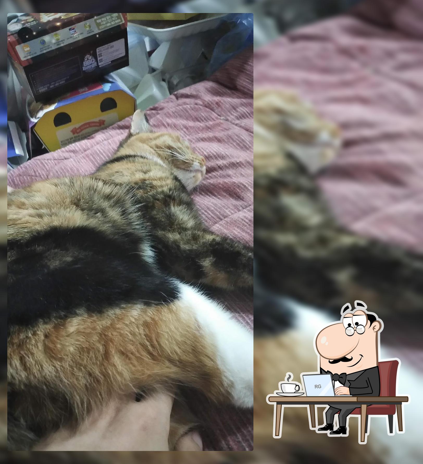 피자스쿨 김천평화점