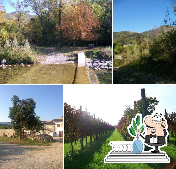 Agriturismo Famiglia Cois