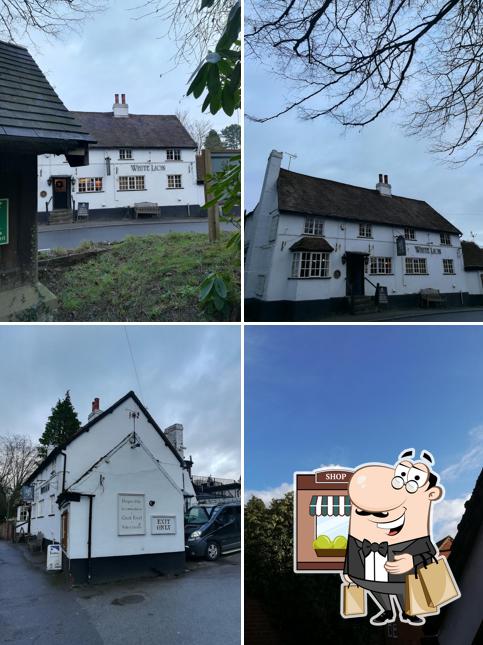The White Lion