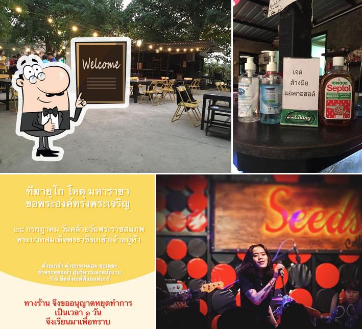 Seed คอฟฟี่&บาร์ Pua