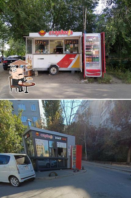 Stardogs