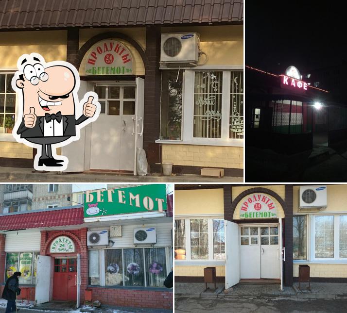 Бегемот