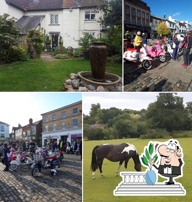 The Lilley Arms