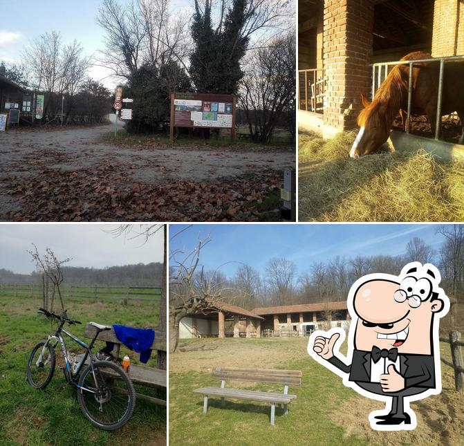 Bar Baffo - Ingresso La Mandria Druento
