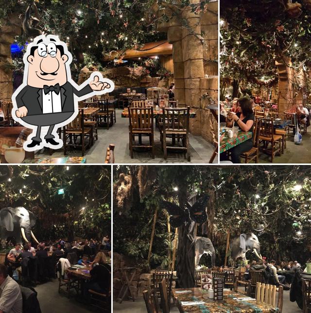 Rainforest Cafe