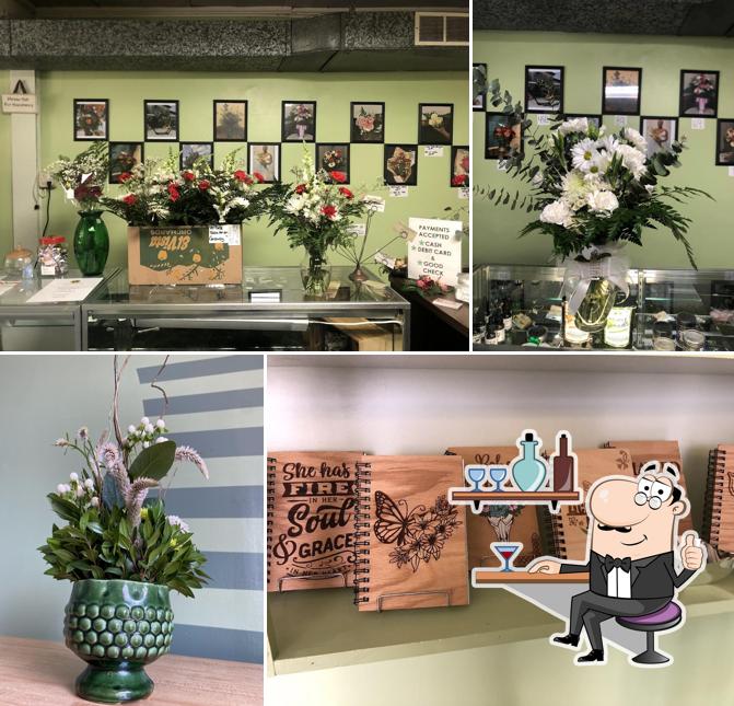 Happy Go Lucky Plants