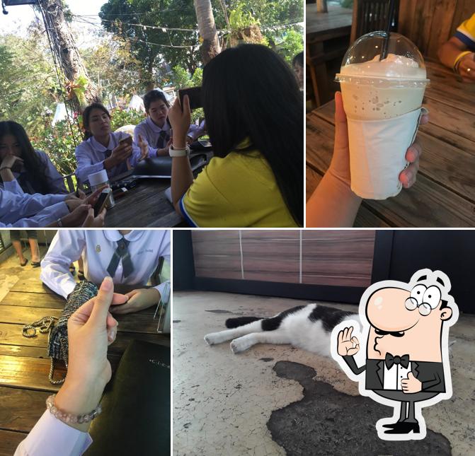 Milk Me Coffee & Café