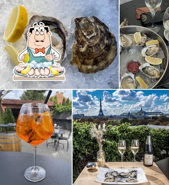Oyster's Lab