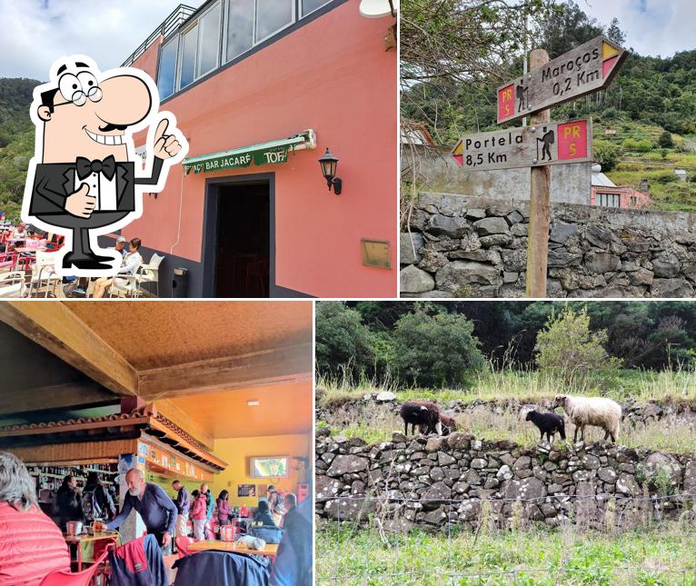 Snack Bar o Jacare