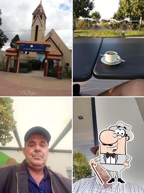 Oasis Café OUISLANE