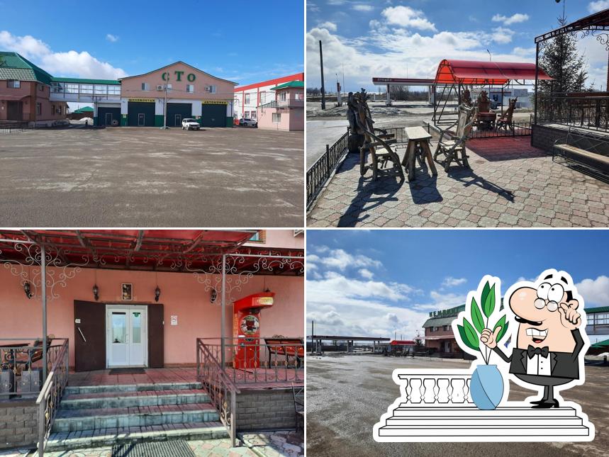 Оазис