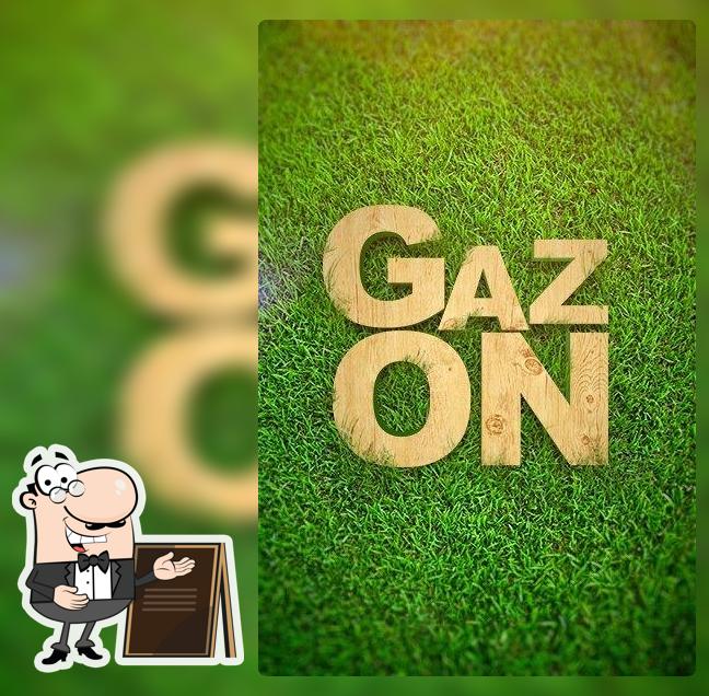 Greenlounge_gazon