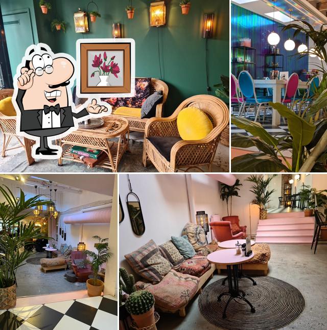 Teds Haarlem - All Day Food & Drinks
