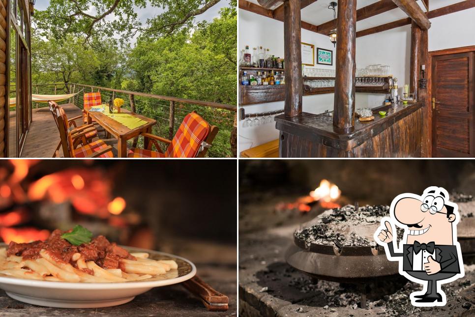 Cadmos Village - Eco friendly adventure park, treehouse and restaurant
