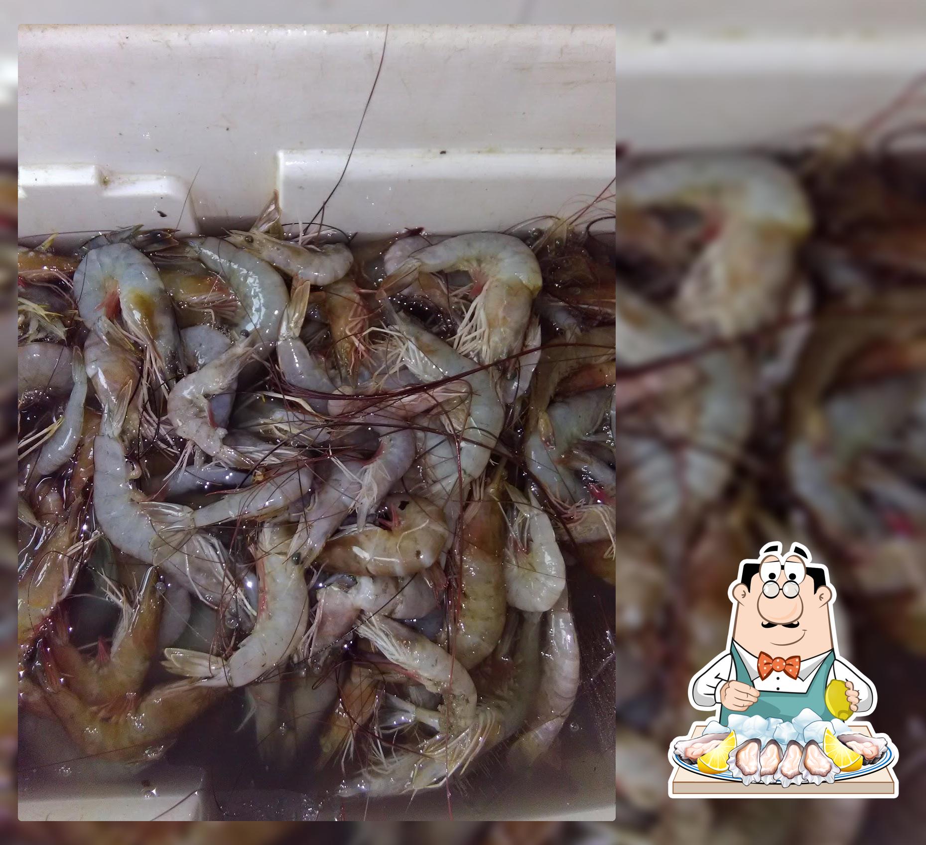 Pescaderia de Benier