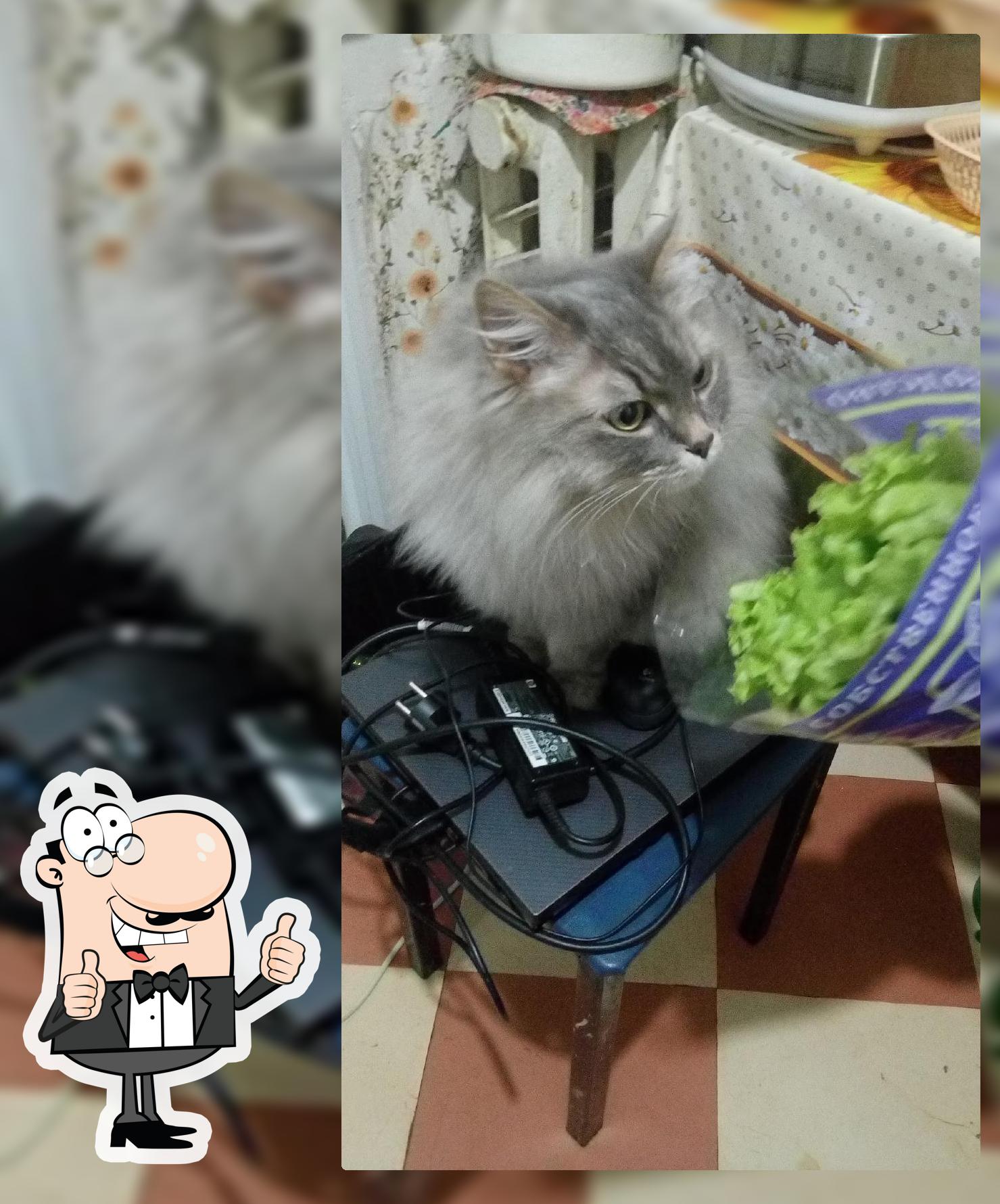 Кулинария