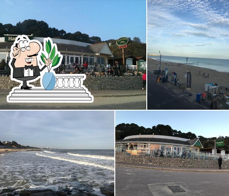 Harvester Durley Inn Bournemouth