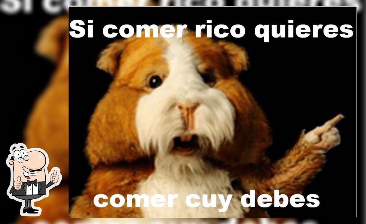 Macay "Granja de cuyes"