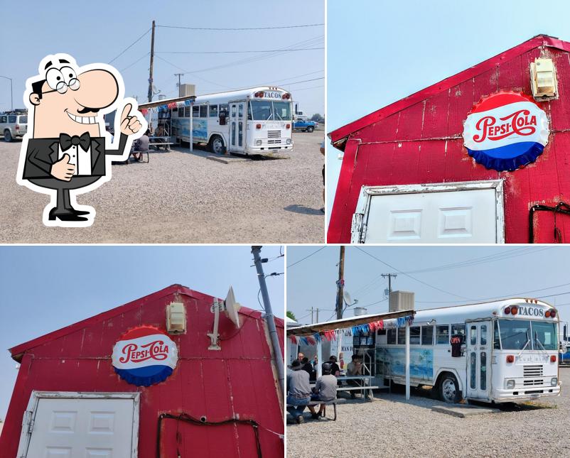 Taco Bus