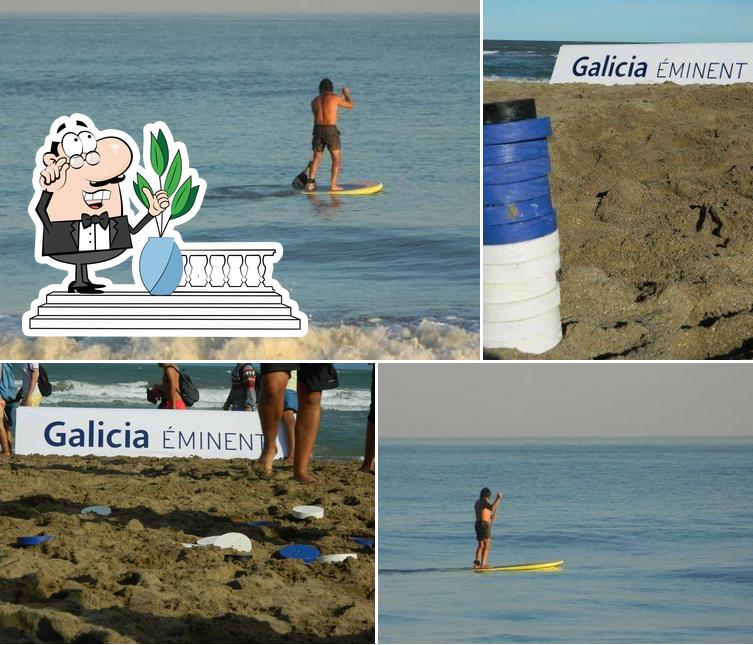 Cocodrilo Pinamar