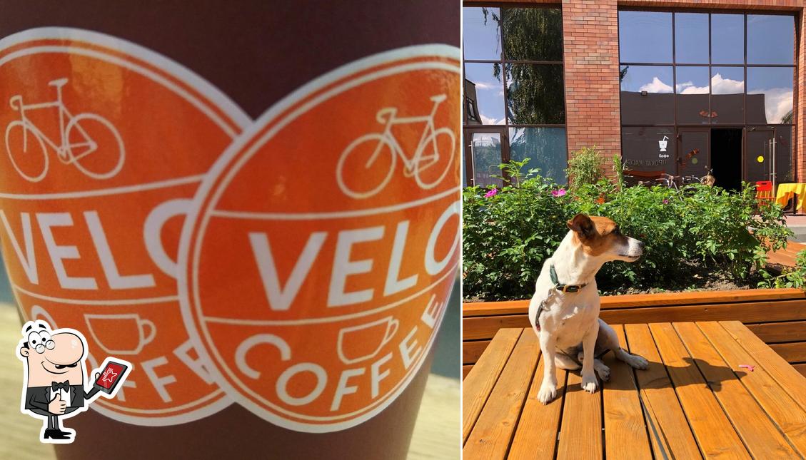 Velo Coffee