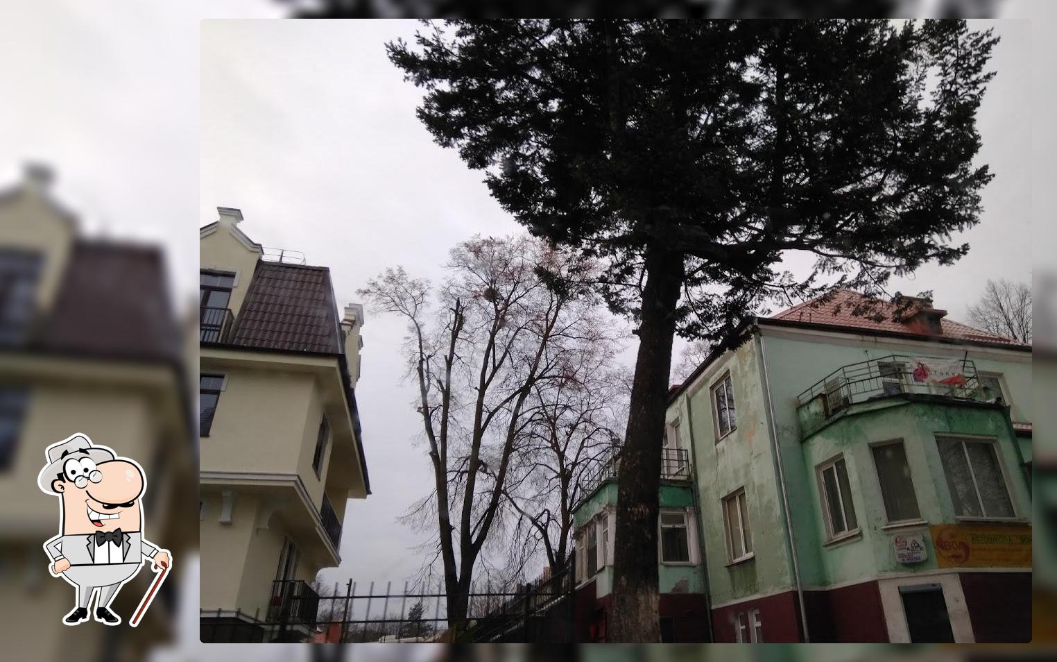 Вира