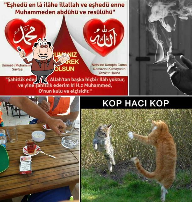 Şelale Cafe Muhtarın Yeri
