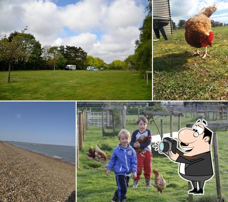 Shottisham Campsite at St Margaret's House