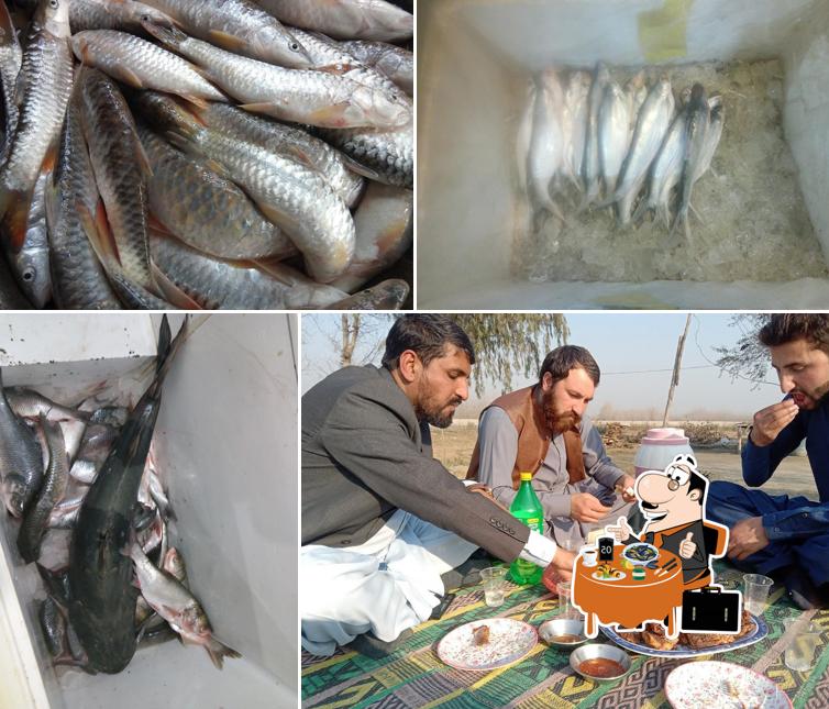 Shah wali Khan fish center