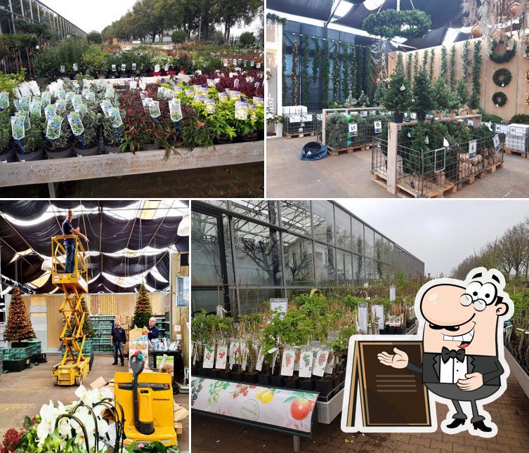 Tuincentrum Bosrand Rijsbergen