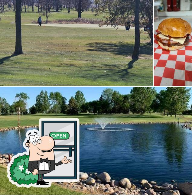 Hole in One Bar and Grill Forman Golf Course