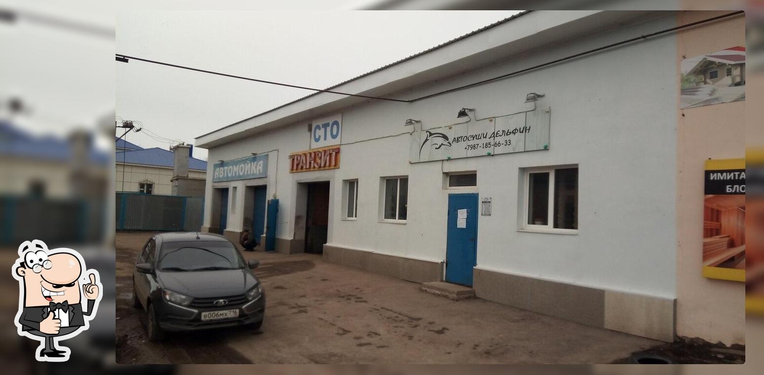 Дельфин