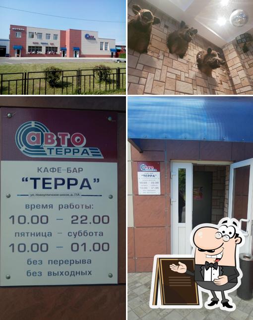 Терра