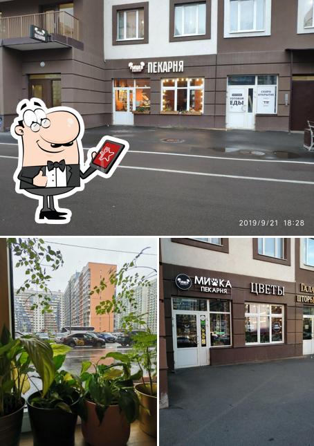 Мишка Bakery