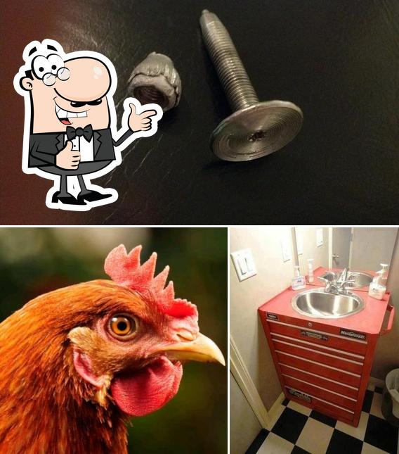 The Chicken Coup