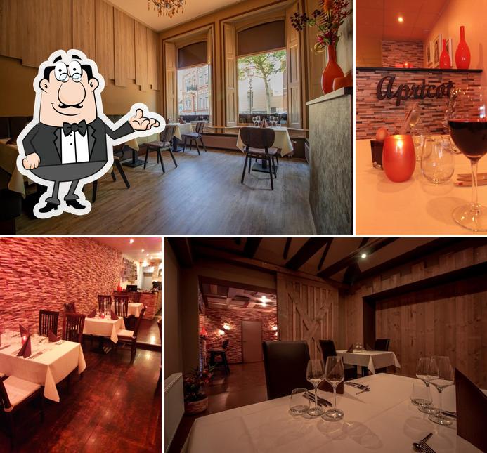Restaurant Apricot