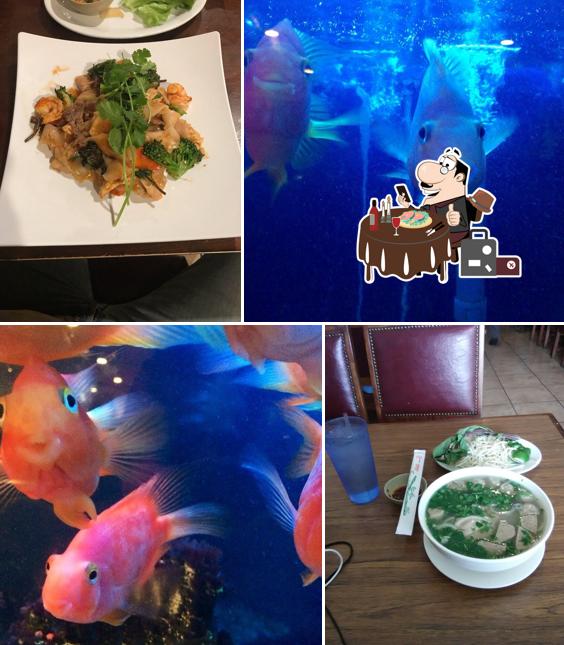 Blue Ginger Pho