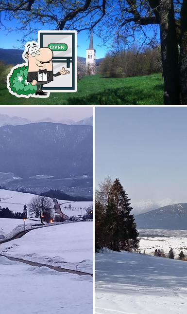 Stella delle Alpi