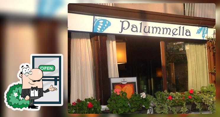 Palummella