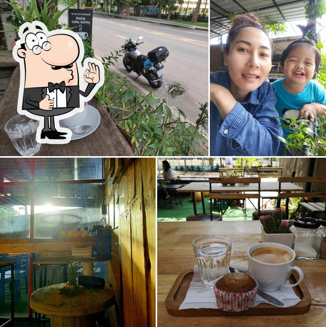 Monkey Cafe